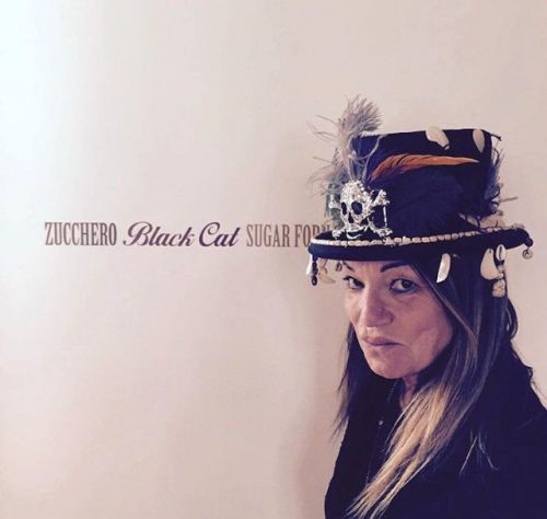 Blackcat <BR> Zucchero Fornaciari <BR>  #RecensioneFunky