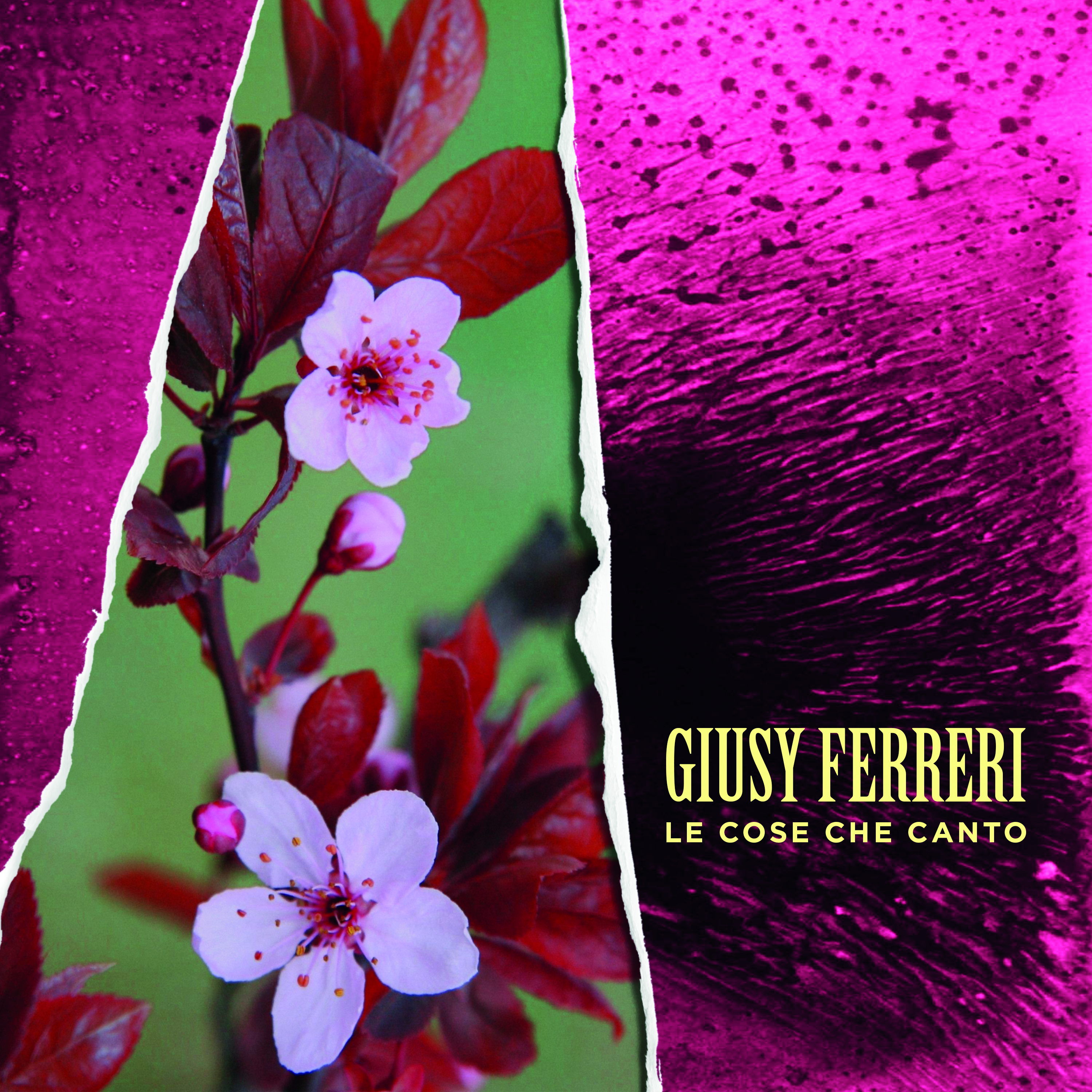 GIUSY FERRERI: Le cose che canto <br> Musica leggera con un peso specifico